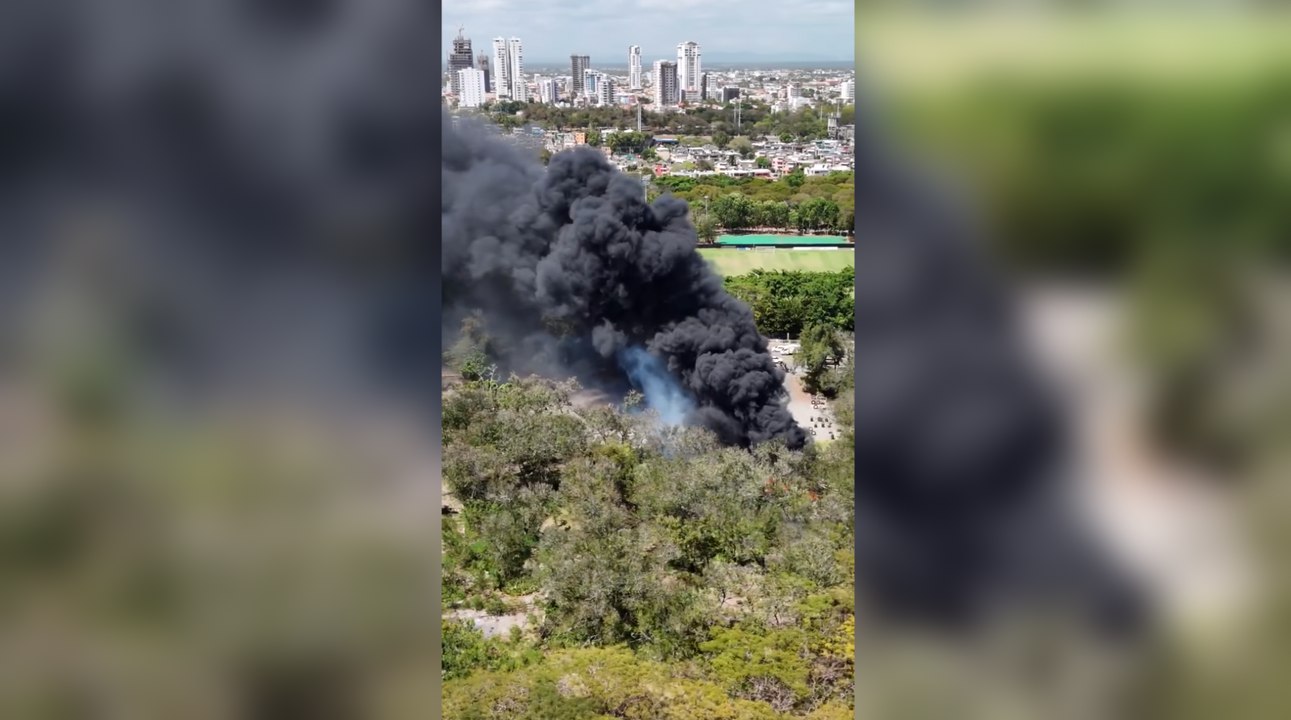 Bomberos sofocan incendio cerca del Parque del Este