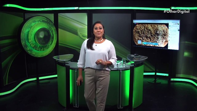 Rotação da Terra gera eletricidade? Cientistas dizem que sim