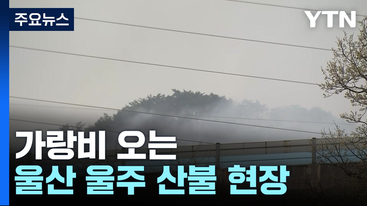 가랑비 오는 울산 울주 산불 현장...주불 진화 기대 / YTN