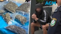 Mass drug bust: Police seize cannabis, edibles, and cash in major sting