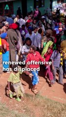 Renewed Gaza Offensive: Rising Casualties Explored