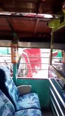 De paseo en la chiva rumbera