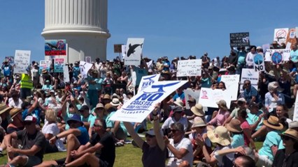 Coalition targets Labor seats adjacent to offshore wind zones