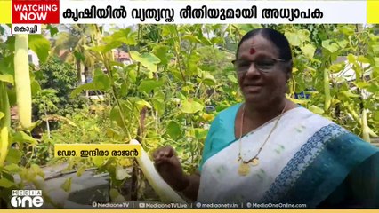 25-ലധികം പച്ചക്കറികൾ മട്ടുപ്പാവിൽ; കൃഷിയിൽ വ്യത്യസ്ത രീതിയുമായി അധ്യാപിക