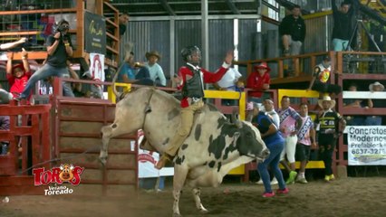 Monta Mapa - 29 de marzo