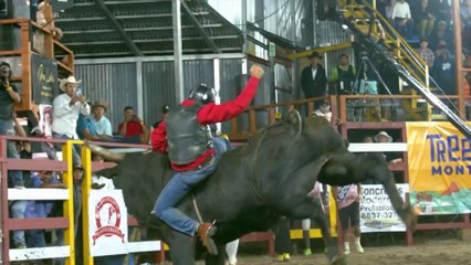 Monta Gigante - 29 de marzo