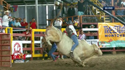 Monta Gusano - 29 de marzo