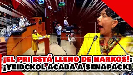 ¡El PRI ES DE NARKOS! ¡YEIDCKOL PULVERIZA a SENAPACK de ALITO por ATACAR las LEYES de CLAUDIA!