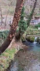 Spring 2025, one day trip in livadia town