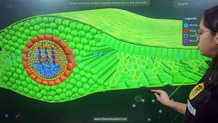 Life process Complete Chapter _ Class 10 _ Science _ जैव प्रक्रम _ CBSE _ NCERT _ Bhavy Education(720P_HD)
