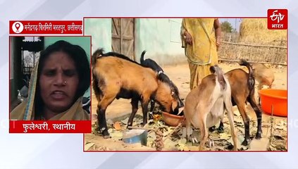 Live Blog Testing DM