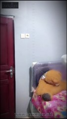 Record Host Live Streaming Hot Hijaber Darkaigen Part 02