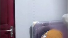 Record Host Live Streaming Hot Hijaber Darkaigen Part 02