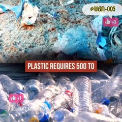 "Plastic Bags in the Ocean – A Deadly Threat to Marine Life & Human Health!"