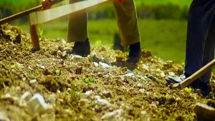 L'amore che ho (Trailer ufficiale HD) ⭐️⭐️⭐️½