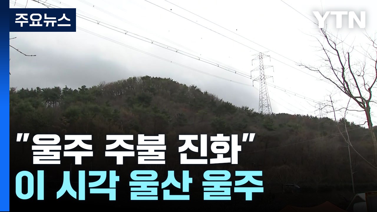울산시장 "울주 주불 진화"...이 시각 울산 울주 / YTN