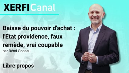 Baisse du pouvoir d'achat : l'Etat providence, faux remède, vrai coupable [Rémi Godeau]