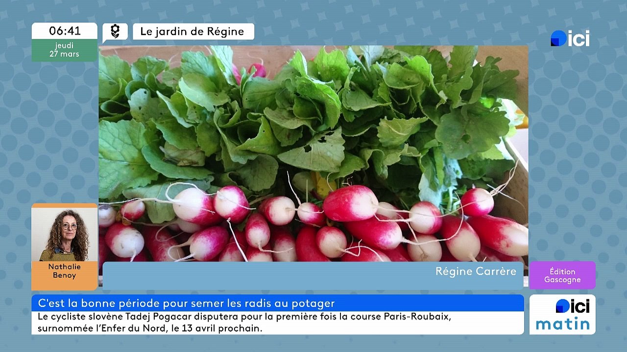 27/03/2025 - ici matin par ici Gascogne en vidéo