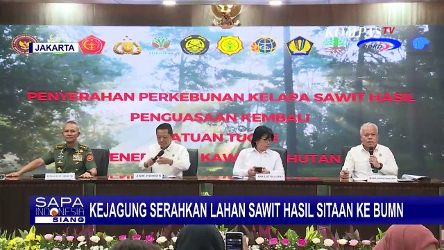 Kejagung dan Satgas PKH Tertibkan 216 Ribu Hektar Lahan Sawit Ilegal