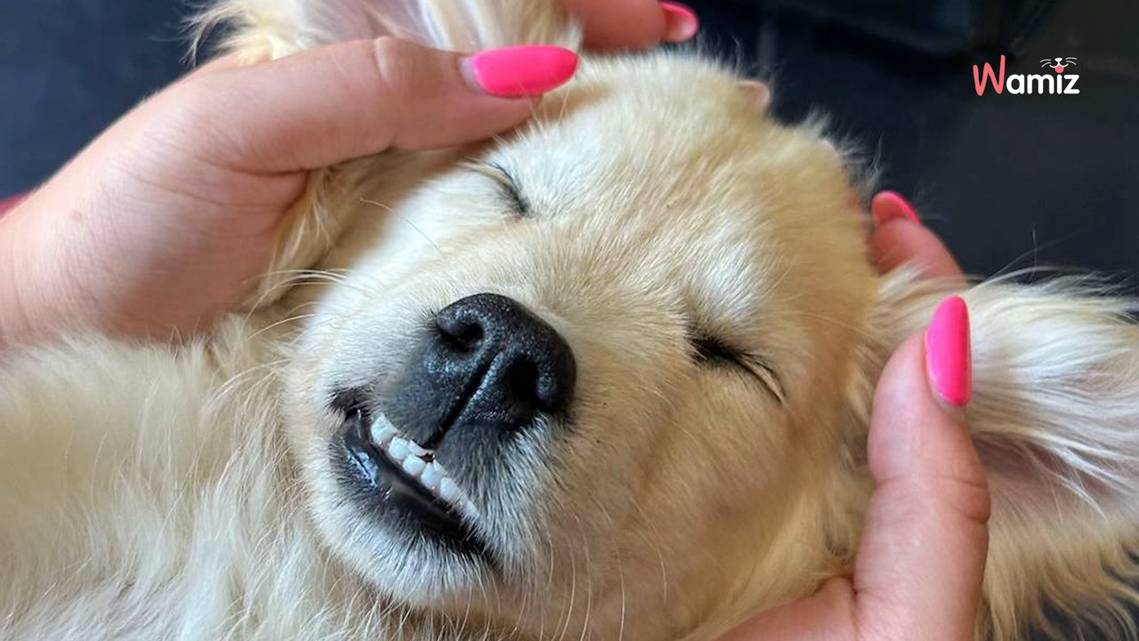 Während der Mann im Militärdienst ist, bekommt Paar dreifachen Zuwachs