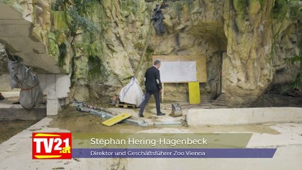 Sensation: Künftig Schuppentiere im Tiergarten Schönbrunn