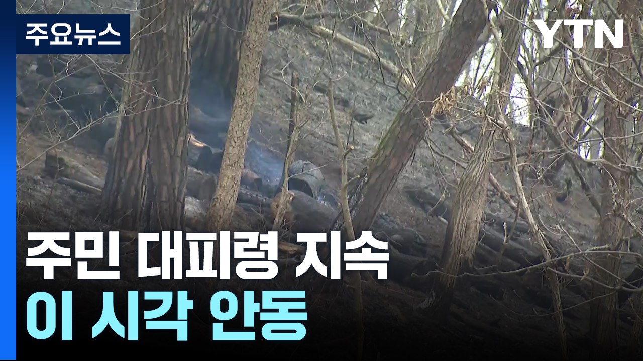 산불 확산에 주민 대피령 지속...이 시각 안동 / YTN