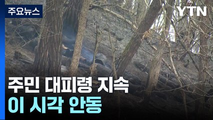 산불 확산에 주민 대피령 지속...이 시각 안동 / YTN
