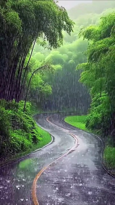 Rain all the day