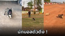 น้องบลูโน่ หมาสายฟุตบอล ทั้งเตะทั้งเลี้ยง เก่งขนาดนี้ นุดสู้ไหวเปล่า