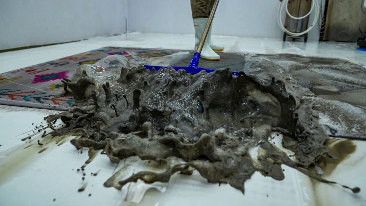 Muddy Carpets - The Incredible Recovery Of A Discarded Rug - Satisfying Video, ASMR Cleaning