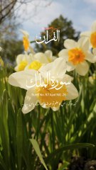 Surah Al-Mulk Ayat 26 سورۃ الملک آیت