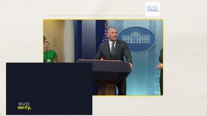 Euroverify : Conor McGregor peut-il se présenter à la présidence irlandaise ?