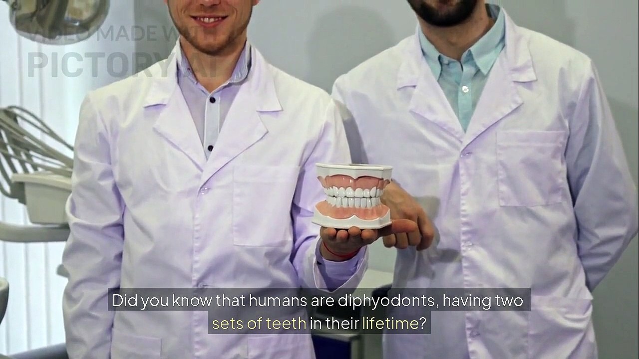 Eruption_of_primary_and_permanent_dentitions (1)