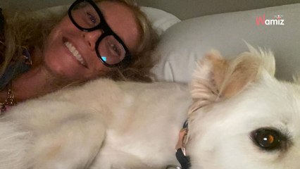 « Une période très difficile » : sur Instagram, Gwyneth Paltrow annonce une triste nouvelle concernant ses chiens