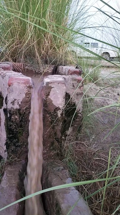 Canal's Outlet