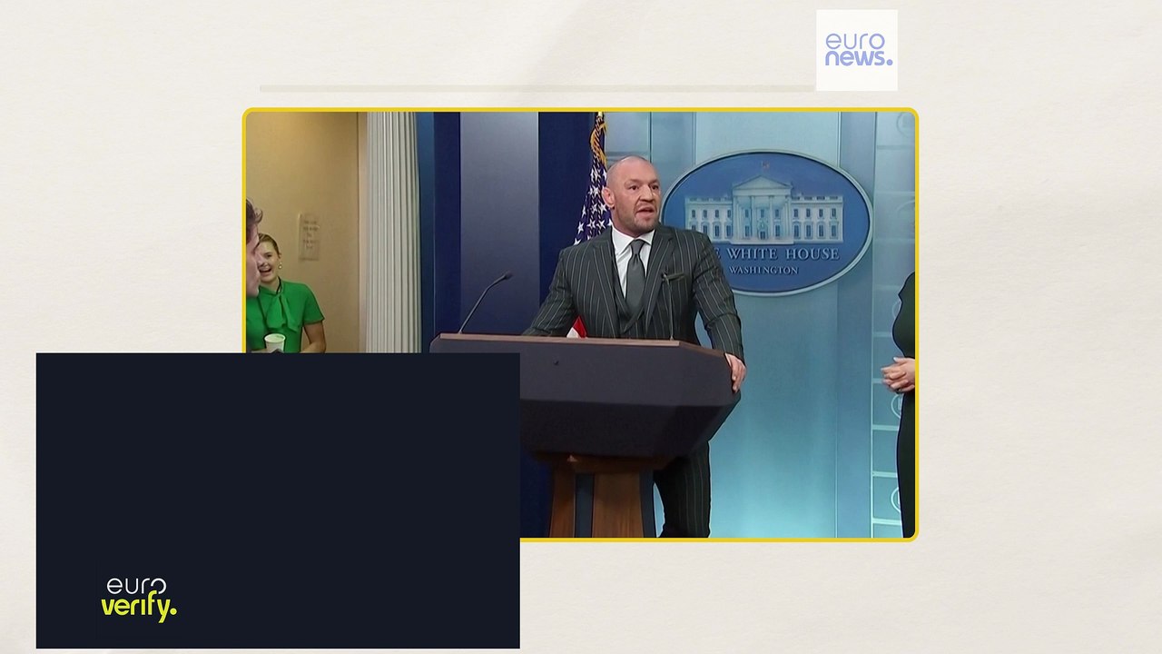 Fakten-Check: Kann Conor McGregor für die irische Präsidentschaft kandidieren?