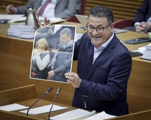 Un diputado del PP valenciano llama "caniche" a la Ministra Diana Morant, e insulta a Pedro Sánchez y a la delegada del Gobierno en Valencia, Pilar Bernabé