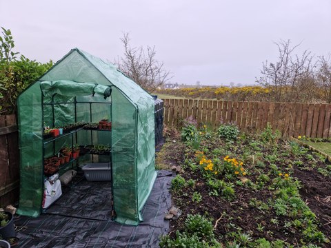 The positives and drawbacks of cheaper greenhouses - Gardening with Brendan