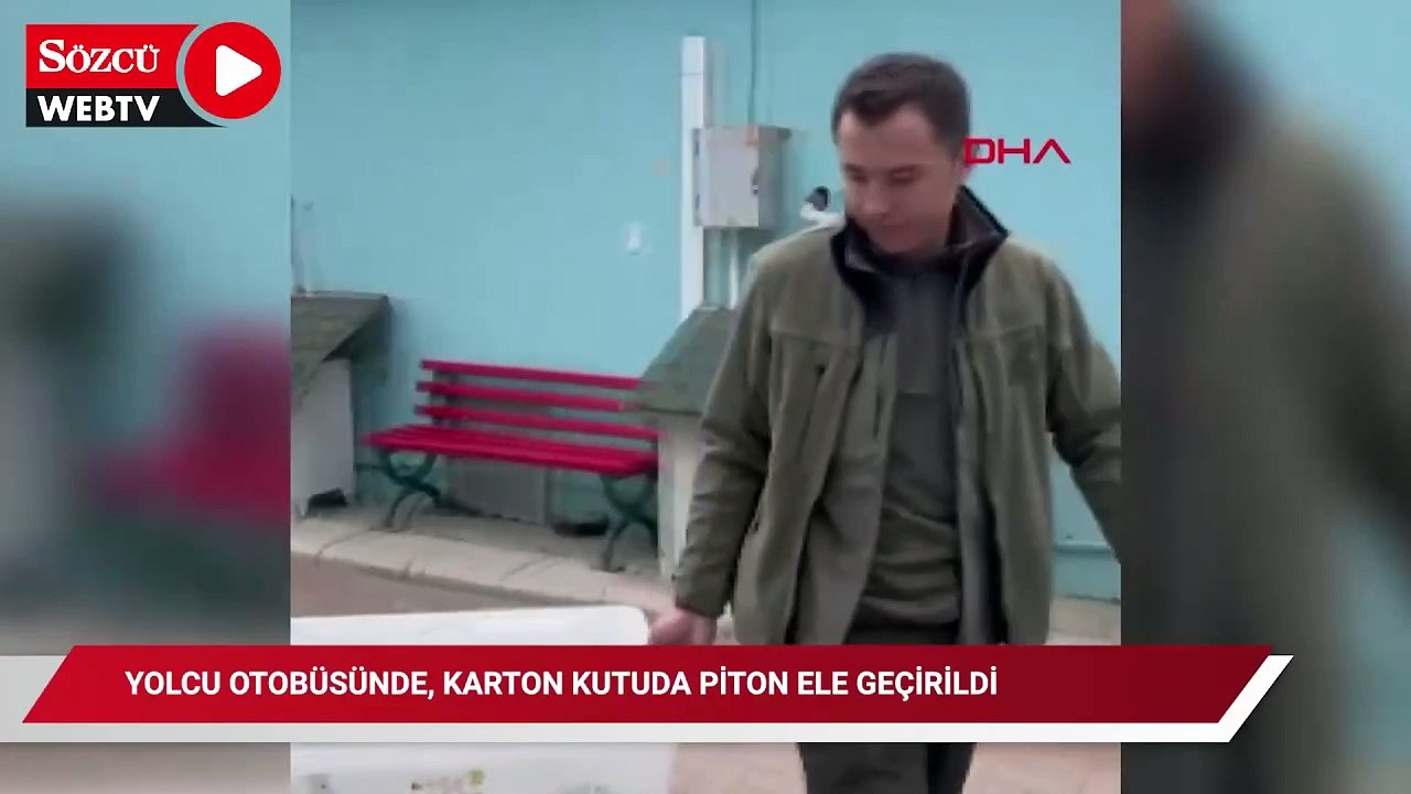 Yolcu otobüsünde, karton kutuda piton ele geçirildi