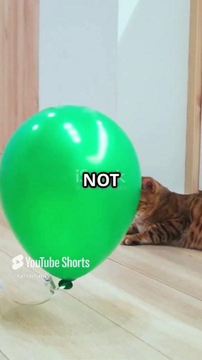 Without Gravity.