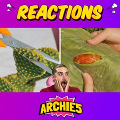 Enhance Your Gardening Skills with These Tips! 🌱 Our Team Reacts to the Best Gardening Advice! 🌿