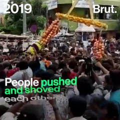 Going Bananas For Apples