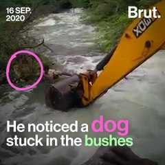 Telangana Home Guard Rescues Stranded Dog