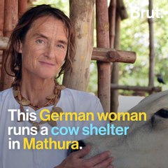 India Extends Visa Of German Cow Shelter Owner