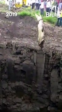 A Brave Forest Officer Rescued This Crocodile