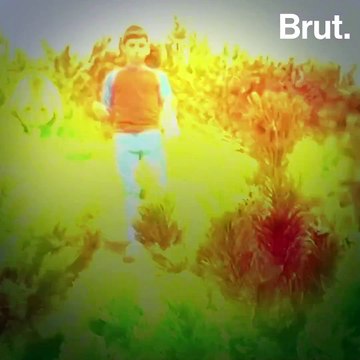 How To Escape A Bear Without Panicking