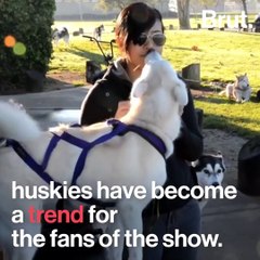 Peter Dinklage Wants GOT Fans to Stop Abandoning Huskies