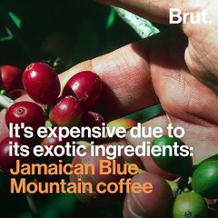 The World’s Most Expensive Chocolate