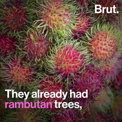 The Neighbour Bringing The Farm To Your Table