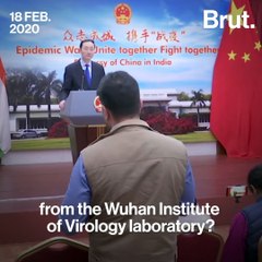 Where Did The Coronavirus Come From?